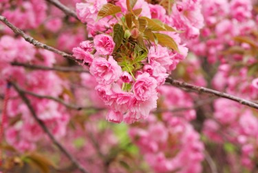 常州钟楼区7线下个人借款平台一站式服务，轻松解决资金难题
