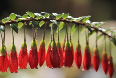 常州钟楼区7零用贷短借：轻松解决临时资金需求